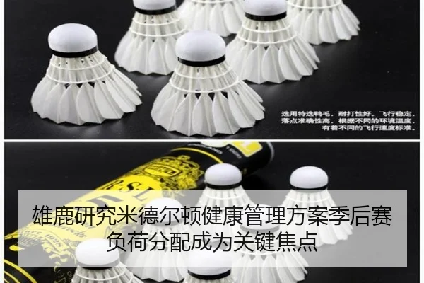 雄鹿研究米德尔顿健康管理方案季后赛负荷分配成为关键焦点